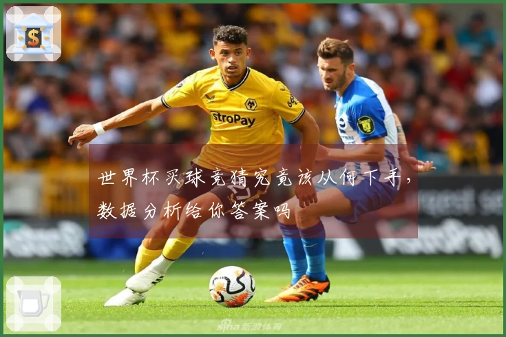 世界杯买球竞猜究竟该从何下手，数据分析给你答案吗