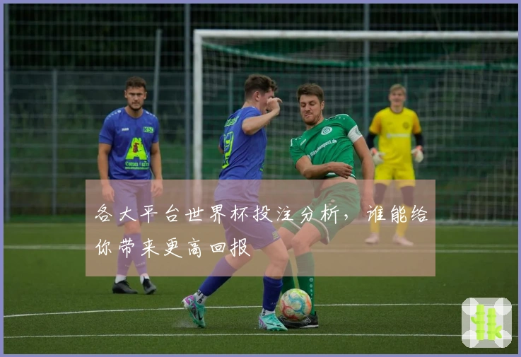 各大平台世界杯投注分析，谁能给你带来更高回报