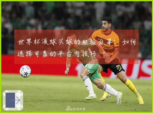 世界杯滚球买球的经验分享：如何选择可靠的平台与技巧