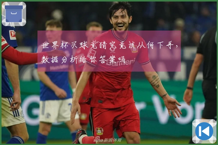 世界杯买球竞猜究竟该从何下手，数据分析给你答案吗