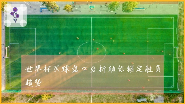 世界杯买球盘口分析助你锁定胜负趋势