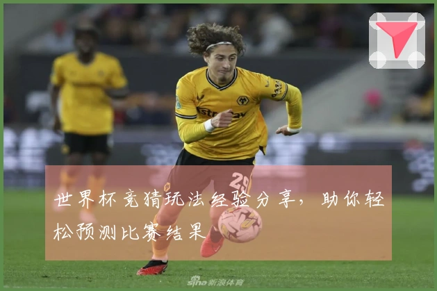 世界杯竞猜玩法经验分享，助你轻松预测比赛结果