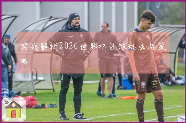 实战解析2026世界杯让球玩法与策略