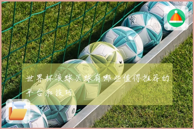 世界杯滚球买球有哪些值得推荐的平台和技巧