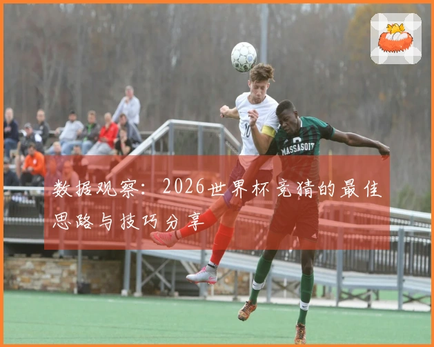 数据观察：2026世界杯竞猜的最佳思路与技巧分享